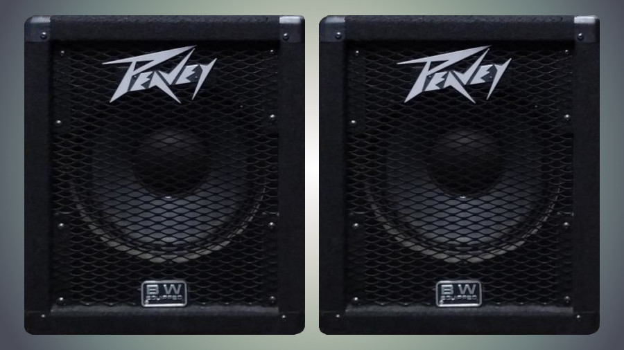 Peavey 112e speakers